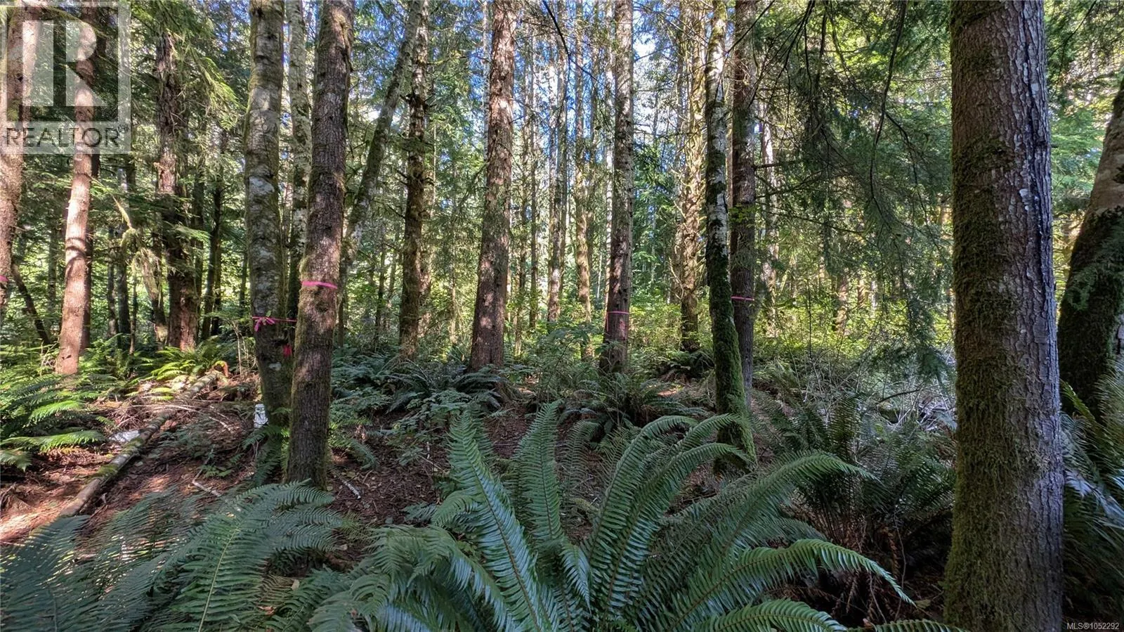 Lot 12 Whalers Cove Lane