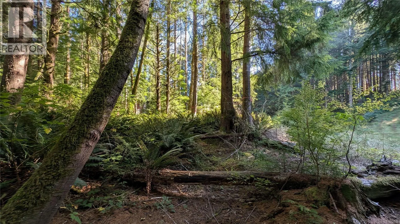 Lot 12 Whalers Cove Lane