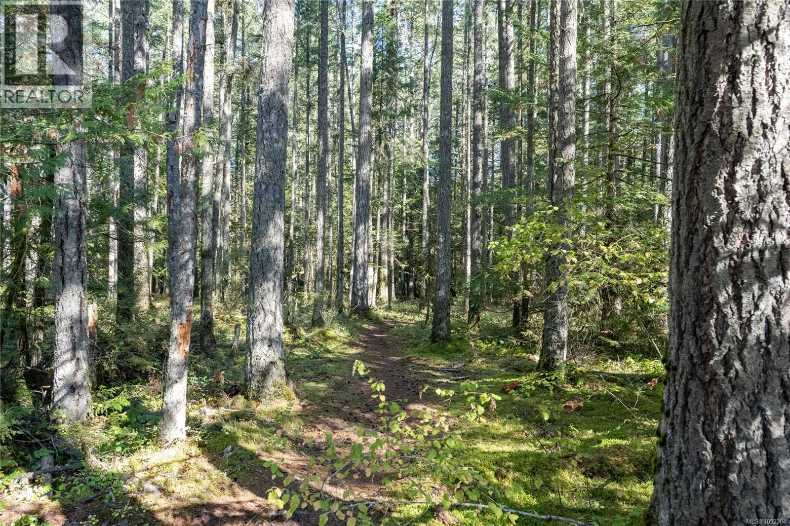 Lot 2 Hilliers Rd