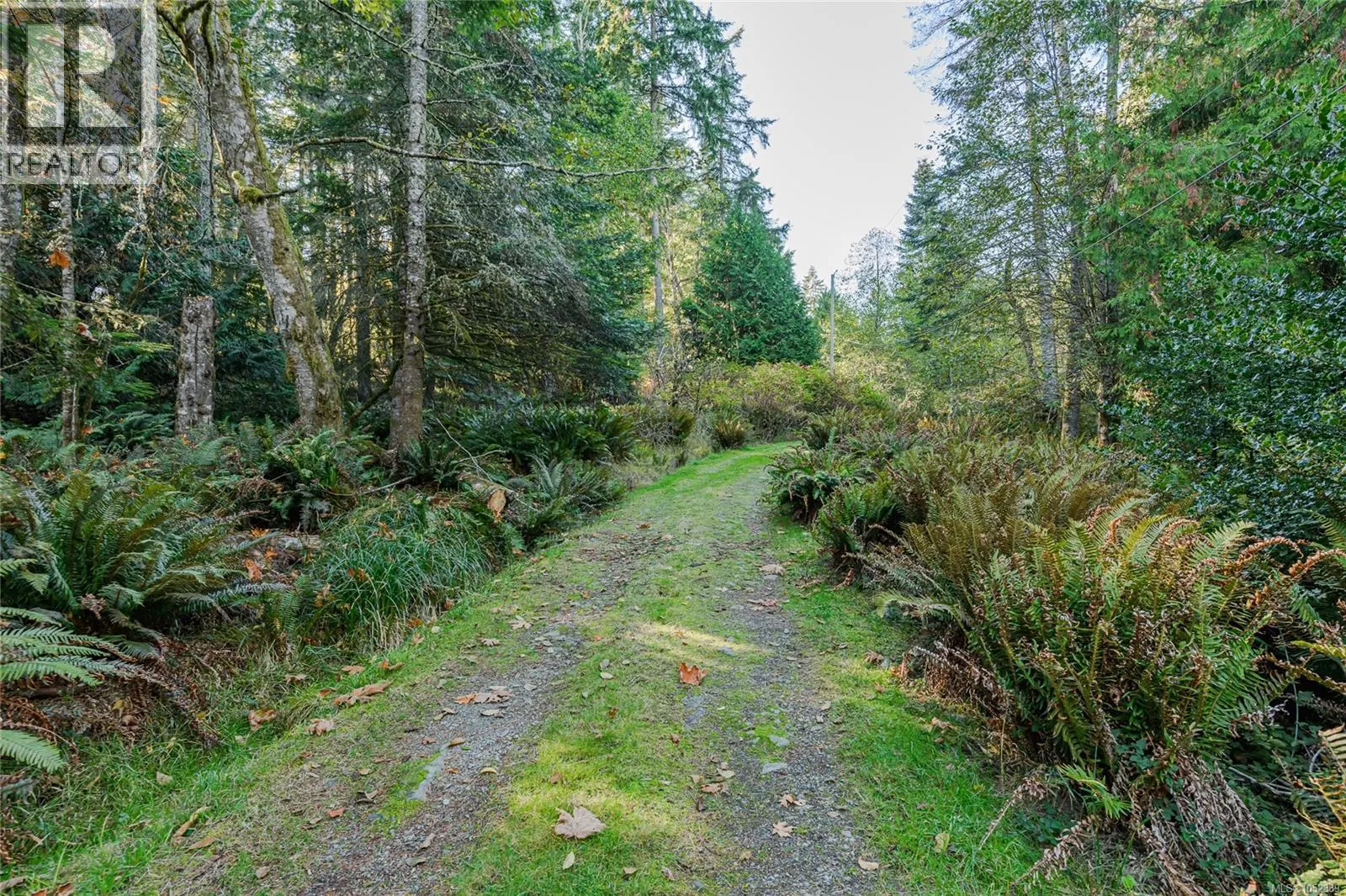 148 Meadow Dr