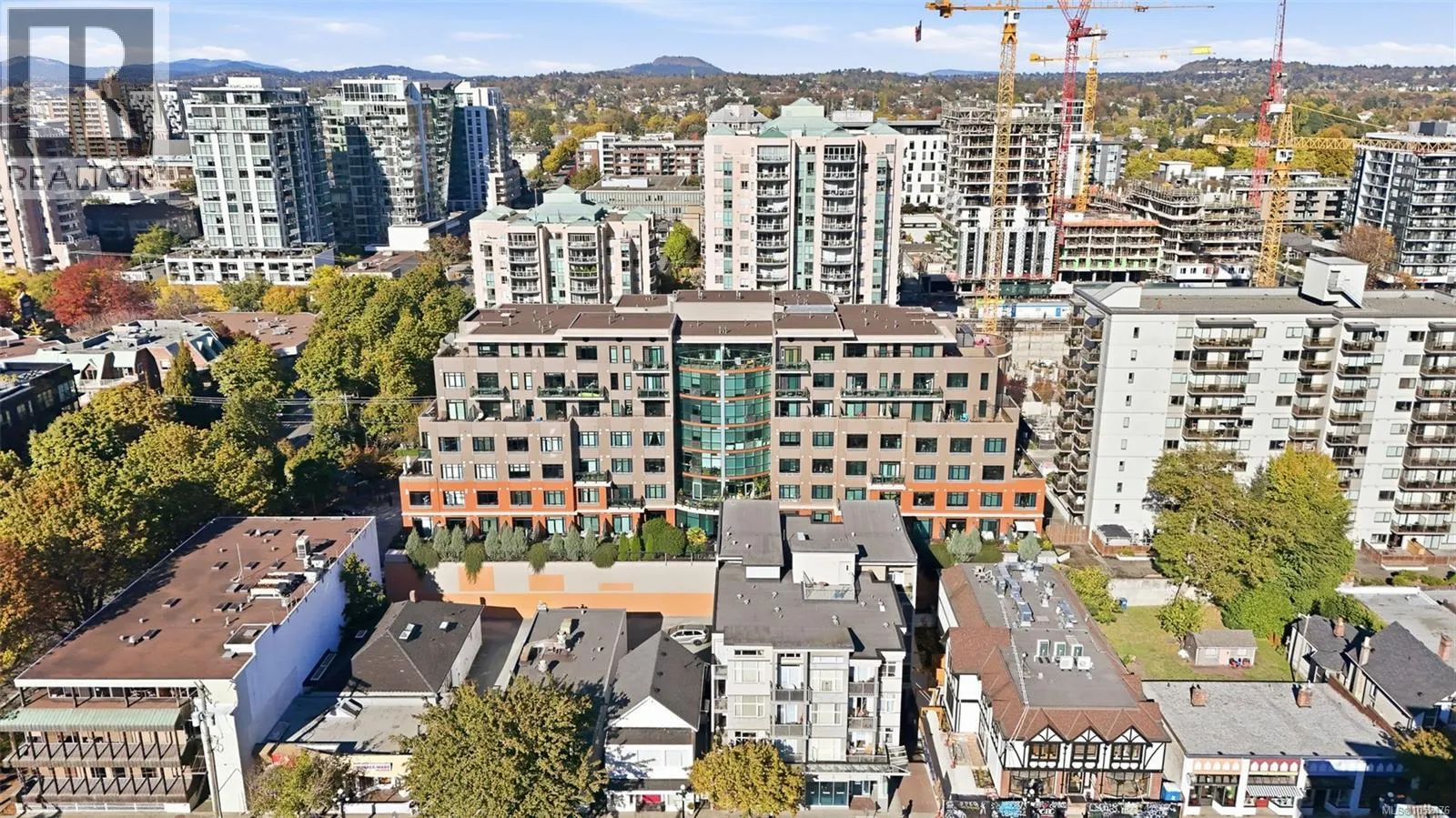 415 1029 View St