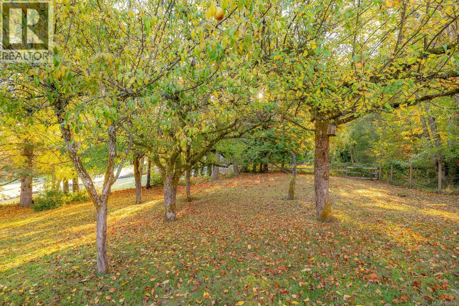 1035 Briarwood Cres