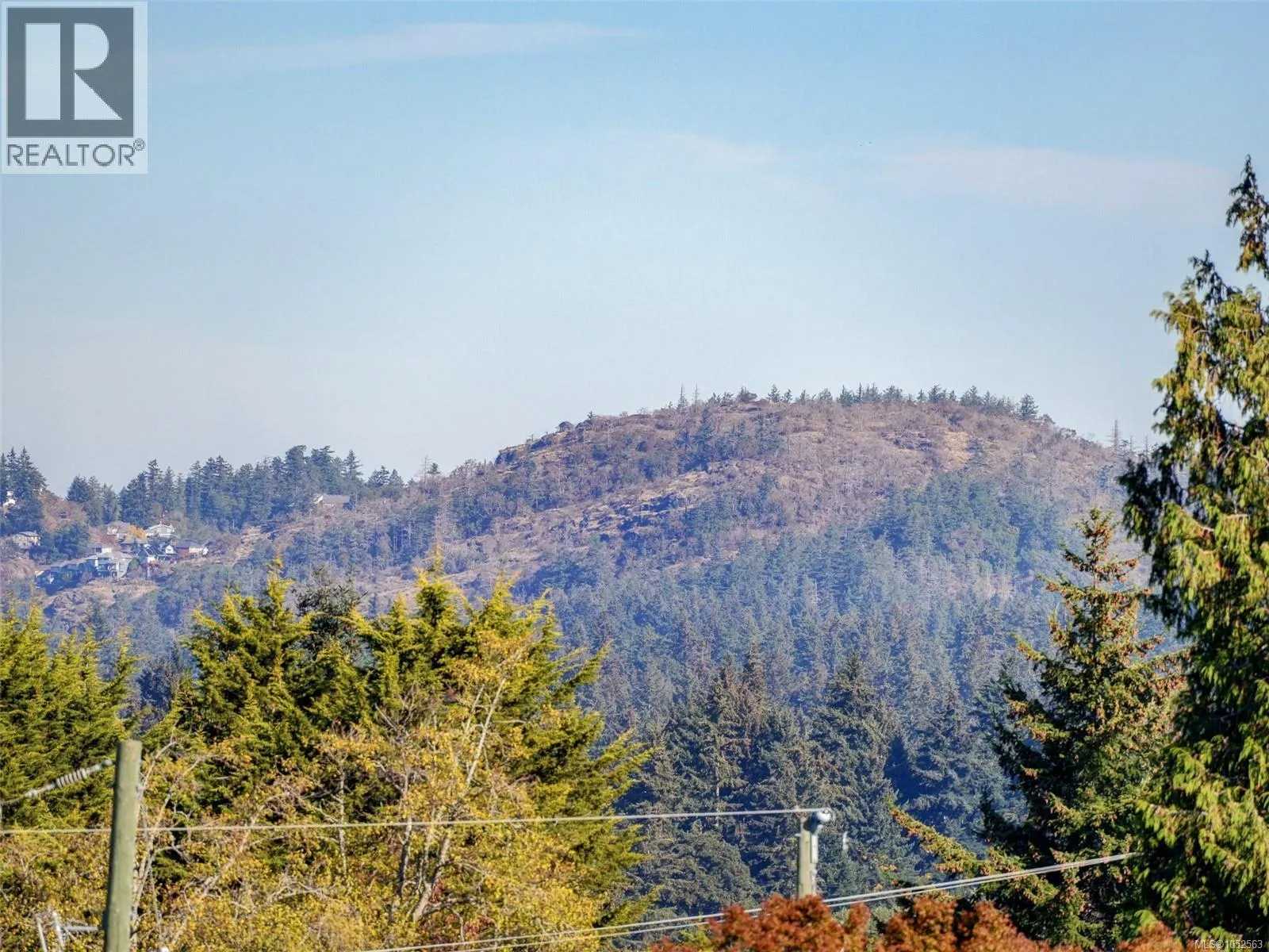 595 Delora Dr