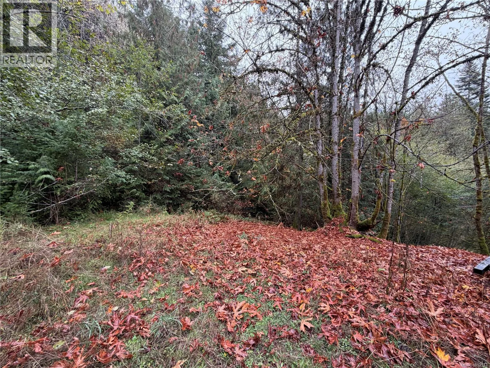 161 GARNER Rd