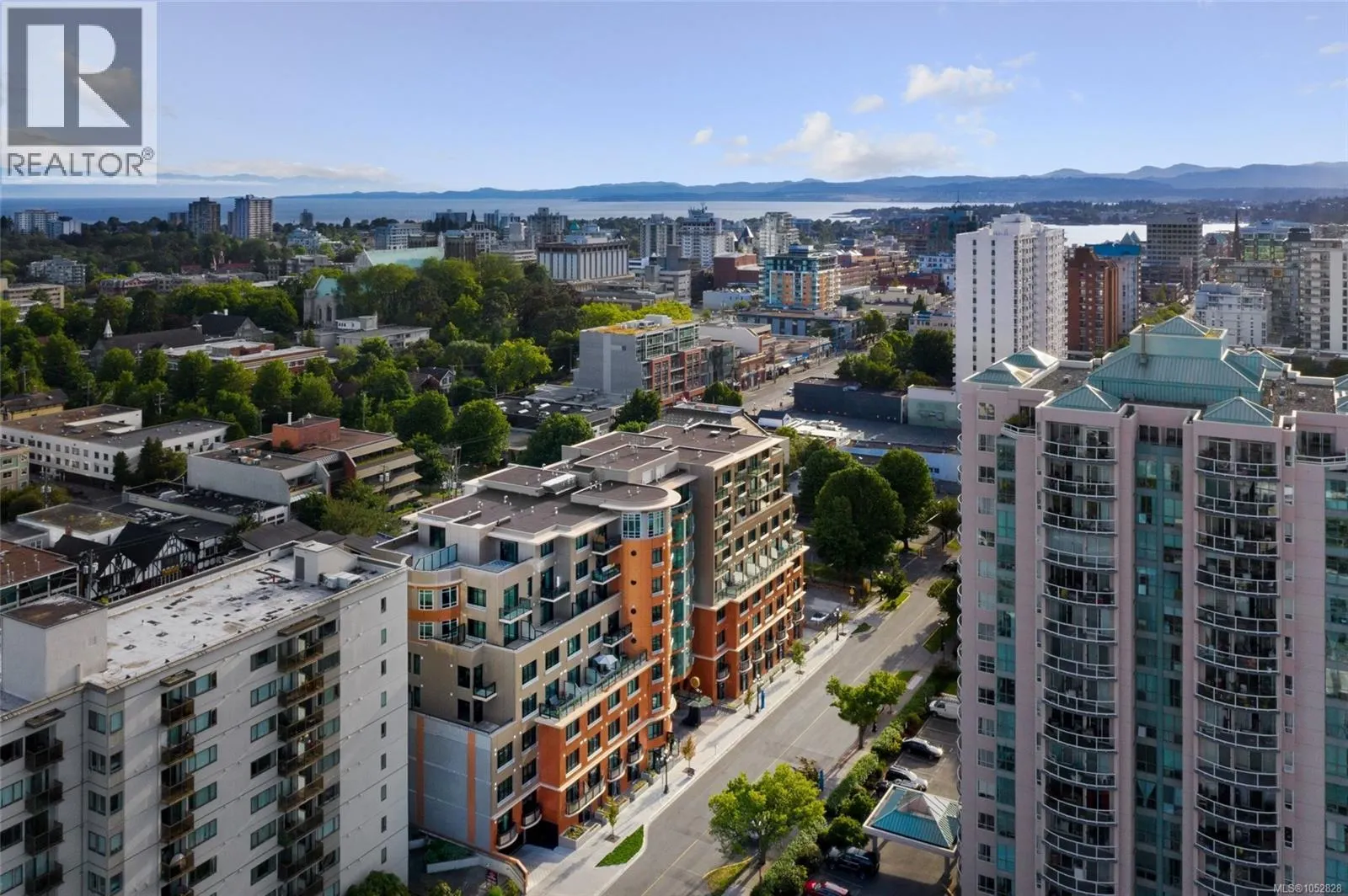 808 1029 View St