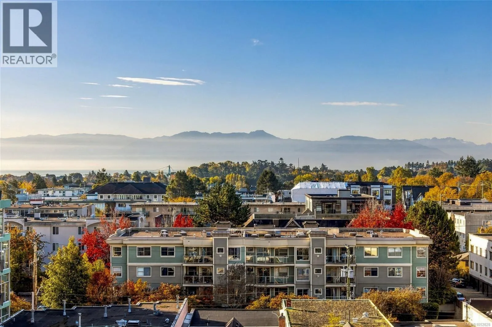 808 1029 View St