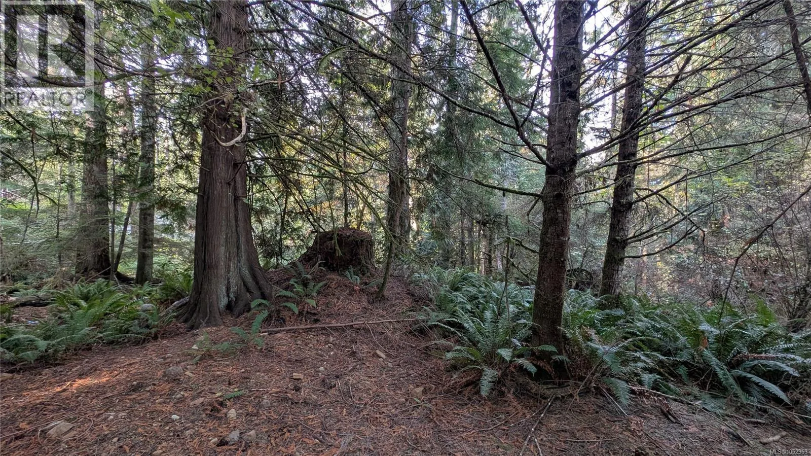 Lot B East Sooke Rd