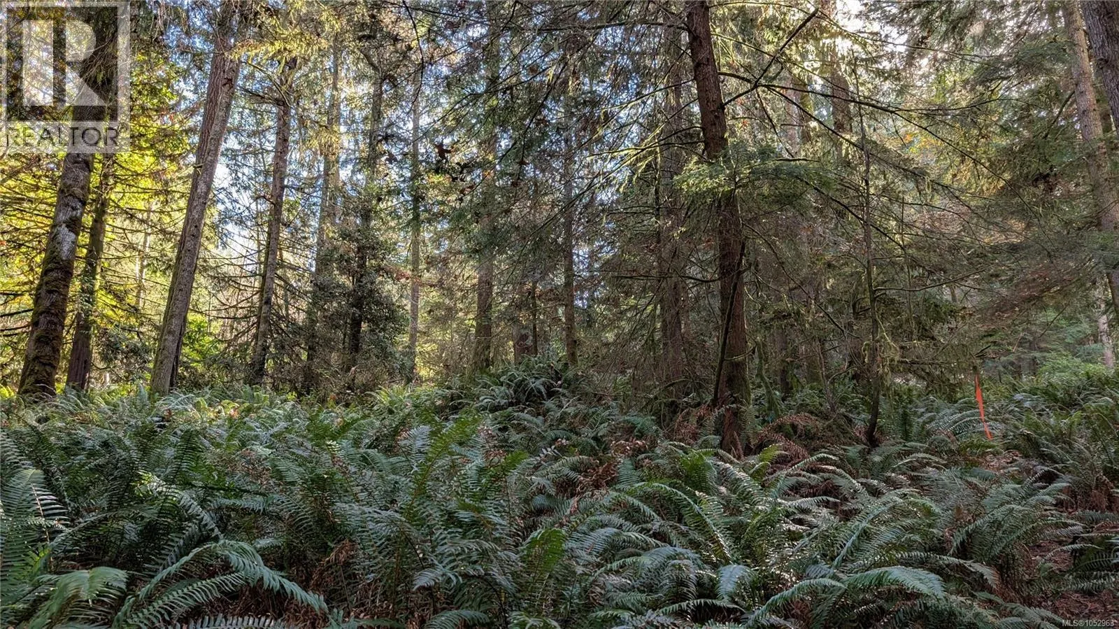 Lot B East Sooke Rd