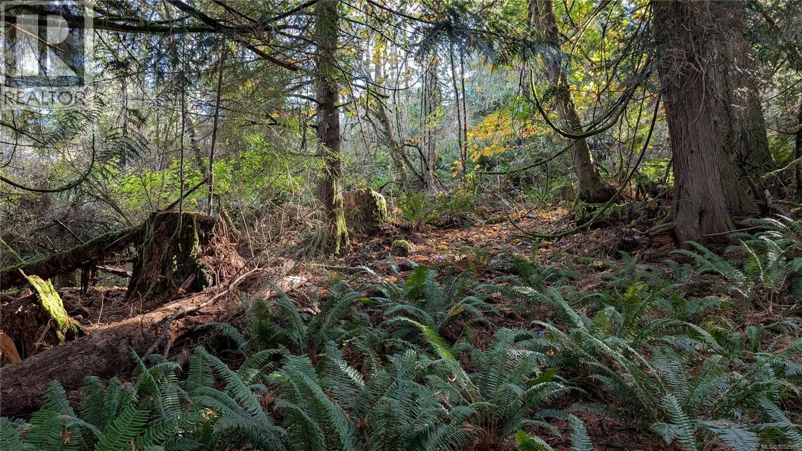 Lot B East Sooke Rd