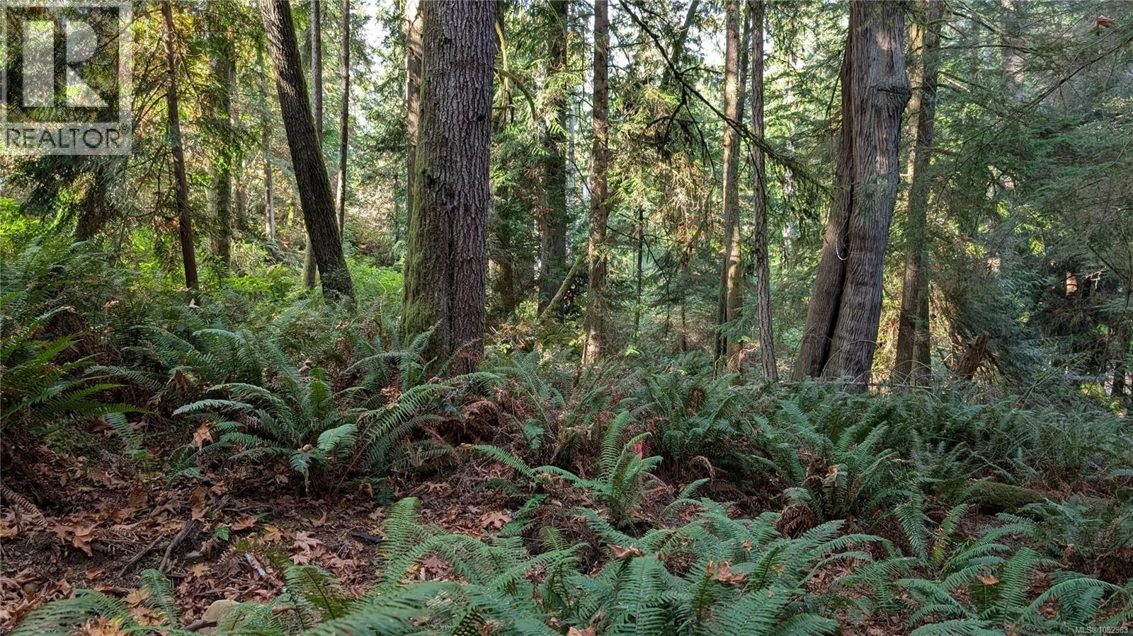 Lot B East Sooke Rd