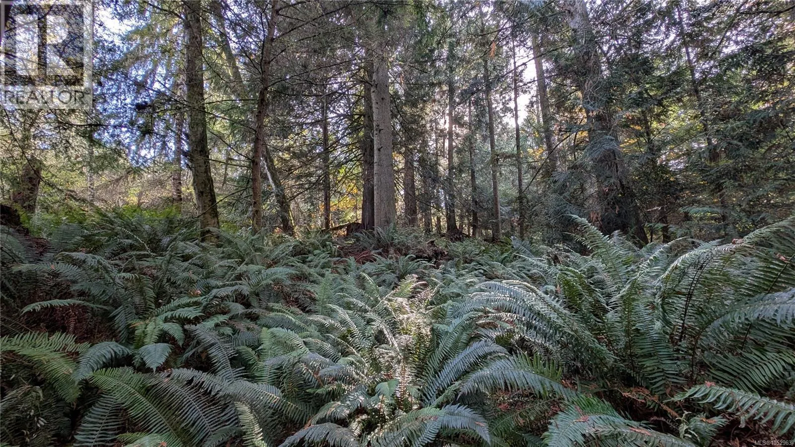 Lot B East Sooke Rd