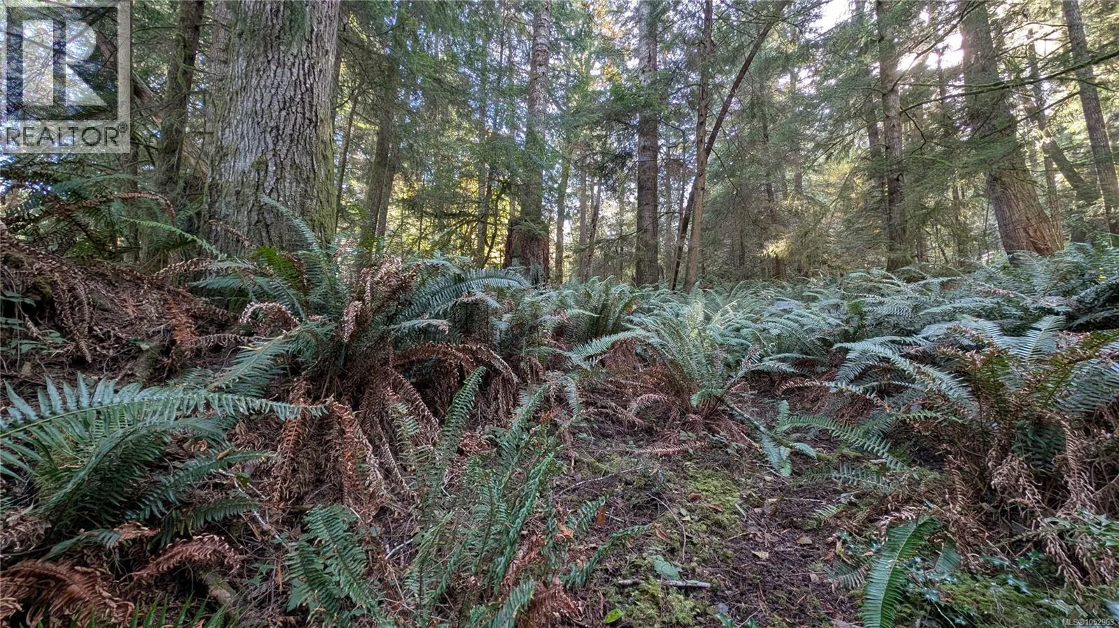 Lot B East Sooke Rd