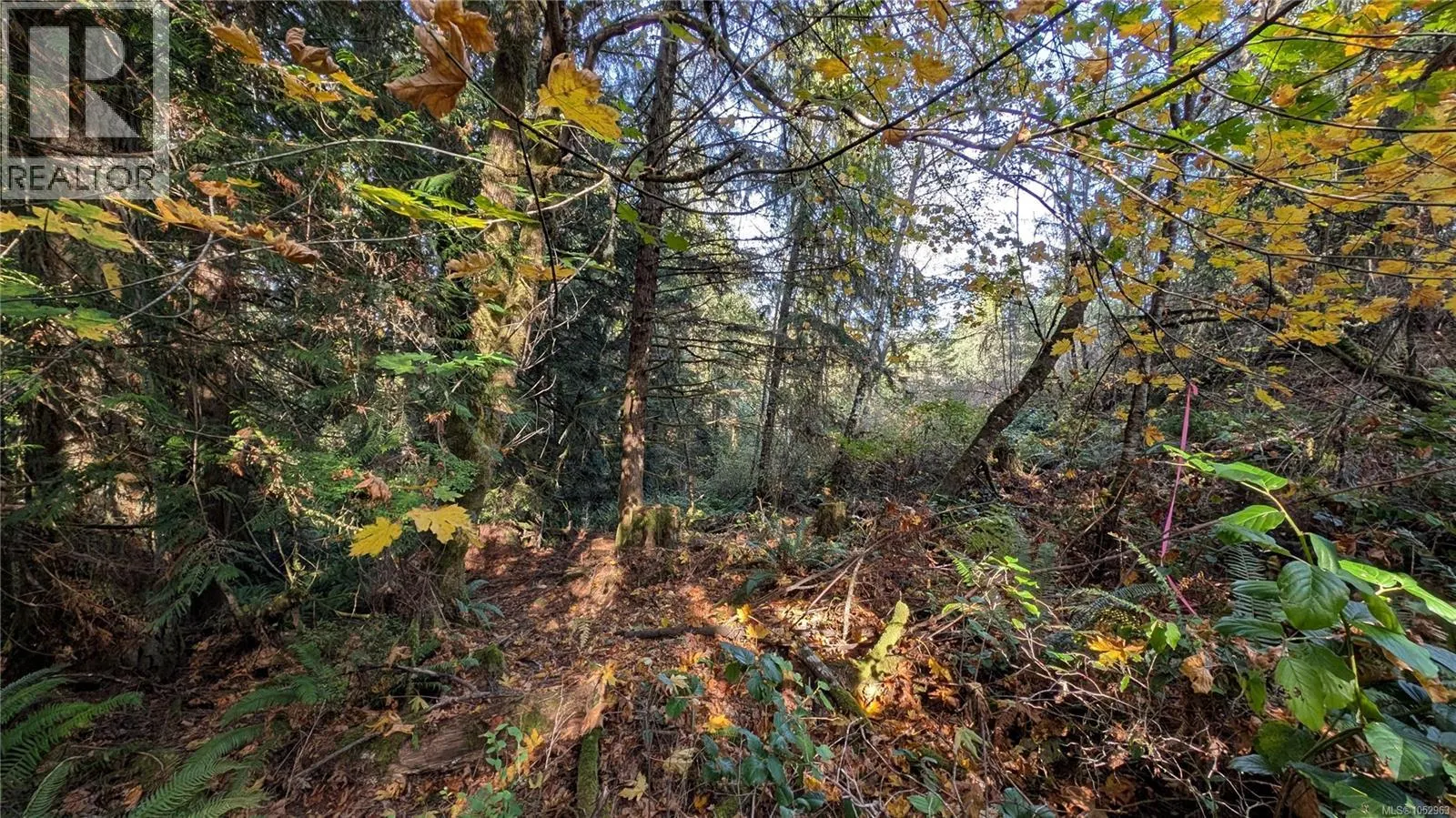 Lot B East Sooke Rd