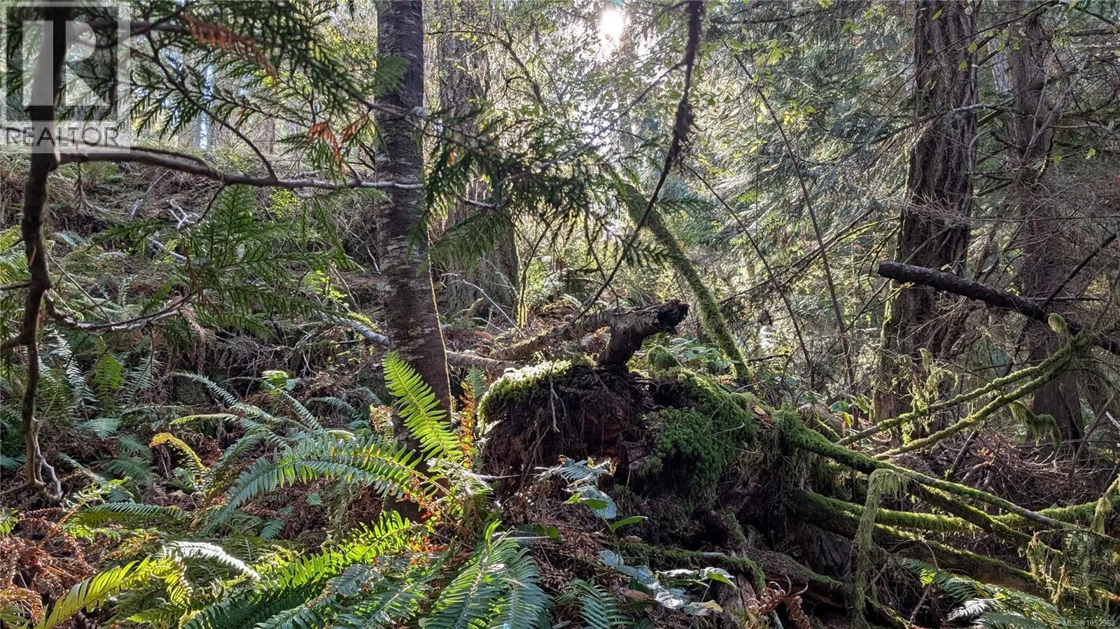 Lot B East Sooke Rd