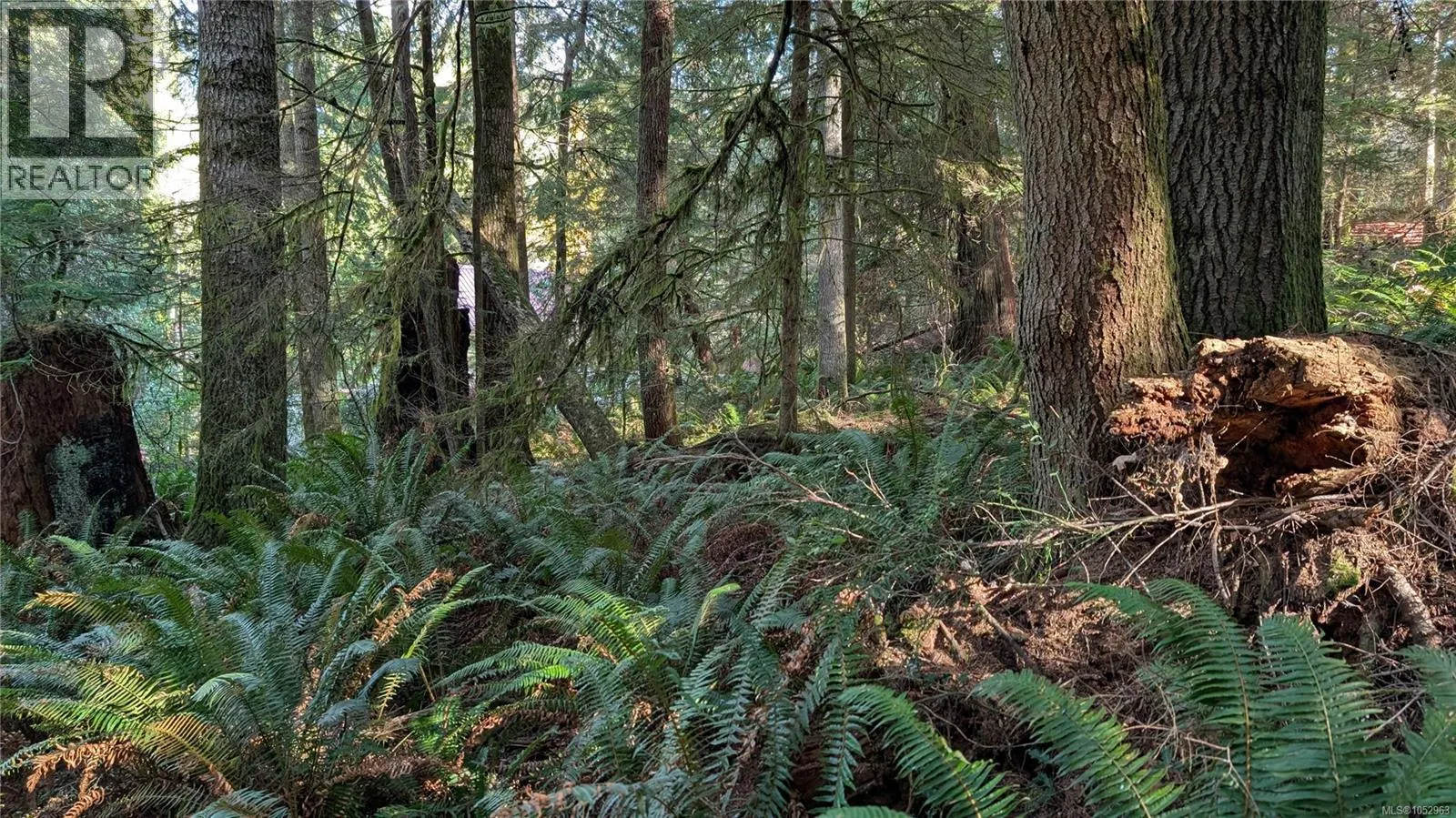 Lot B East Sooke Rd