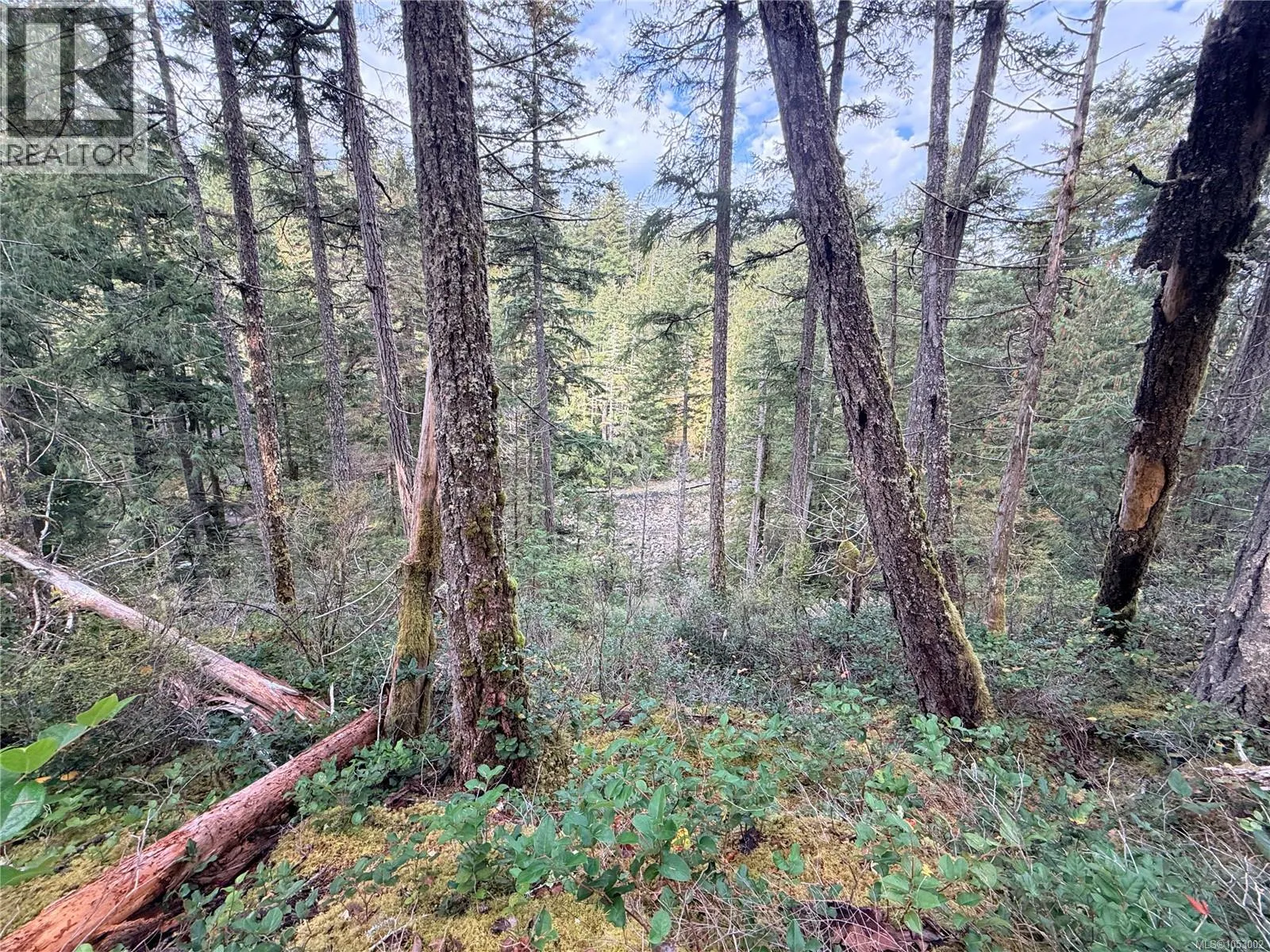 Lot 42 Sonora Island