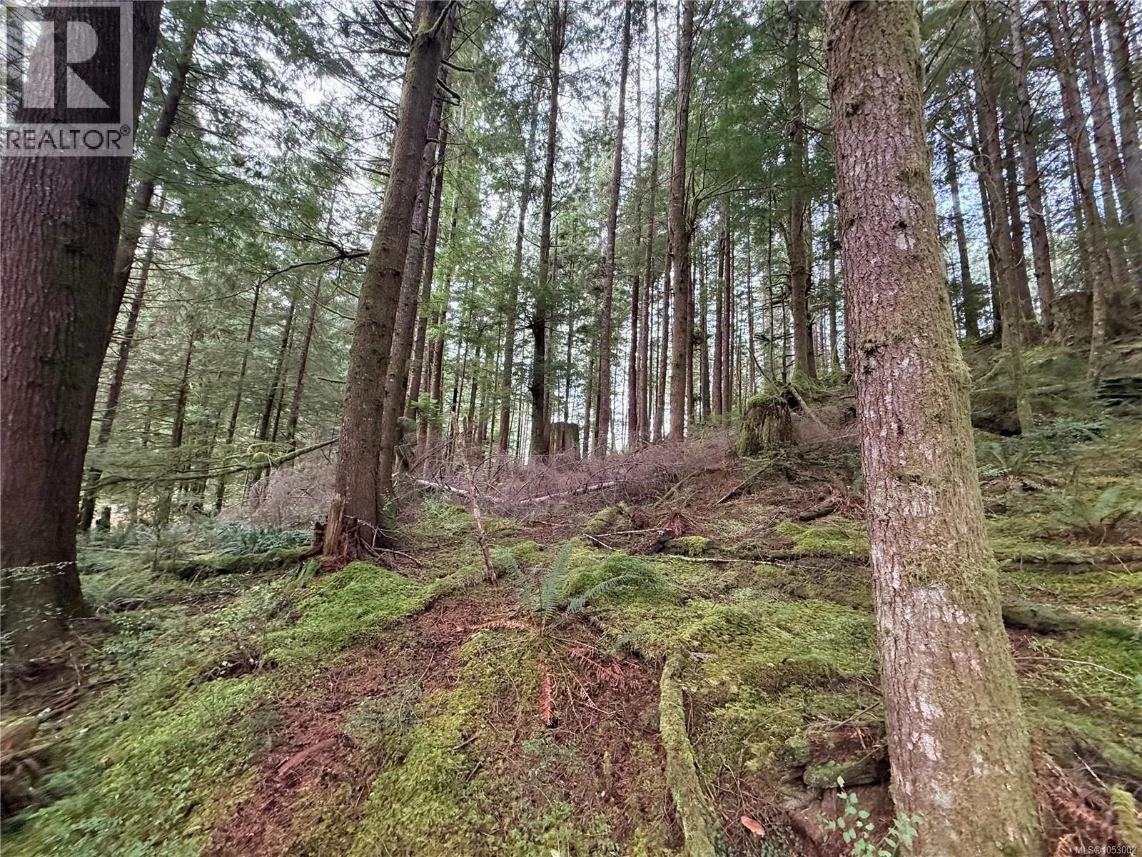 Lot 42 Sonora Island