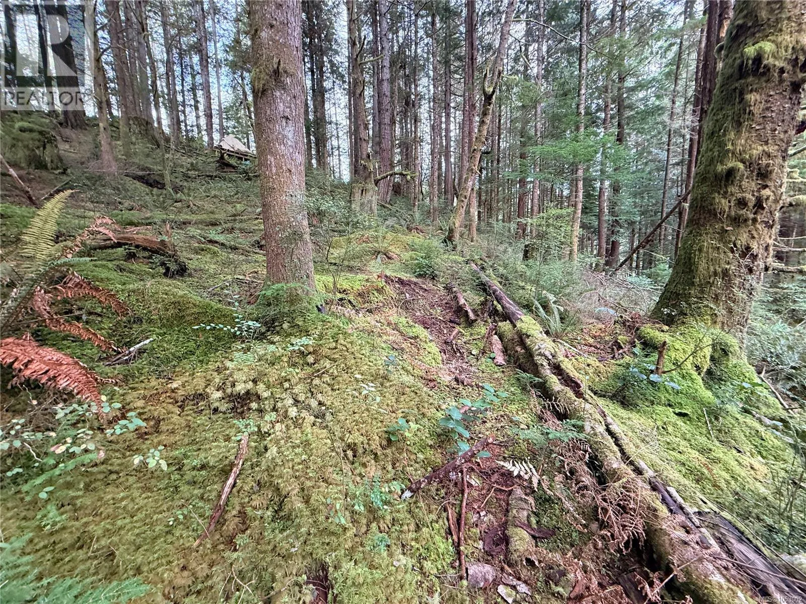 Lot 42 Sonora Island