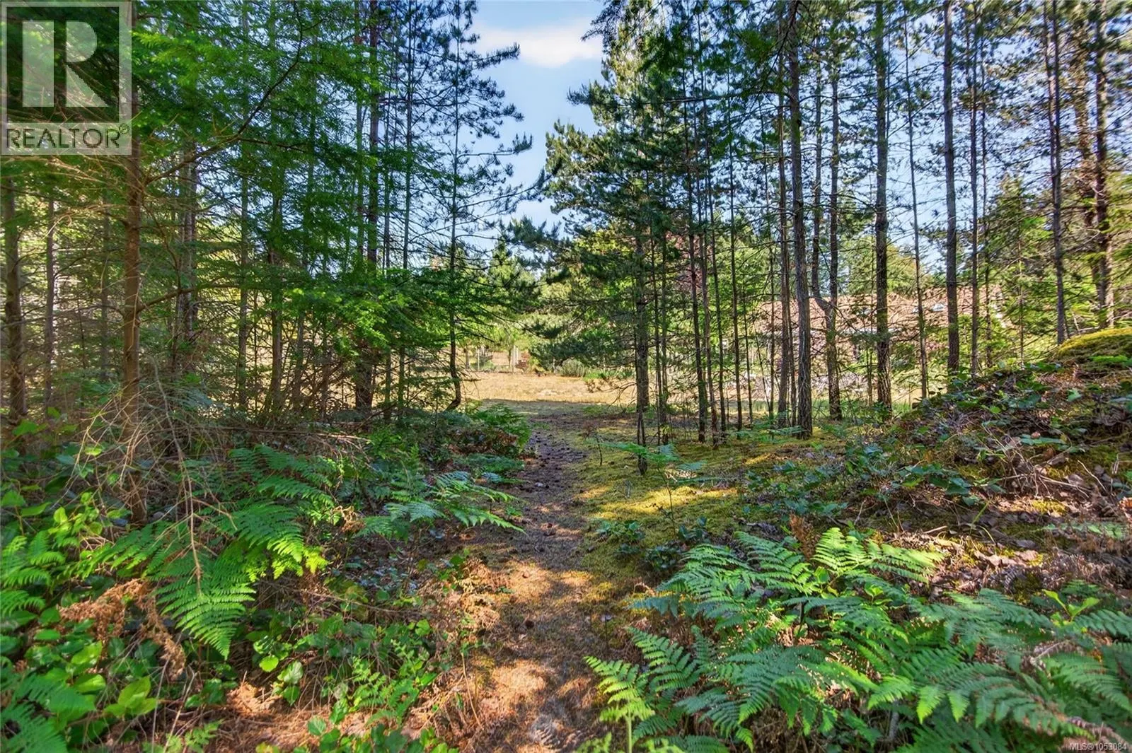 657 Sierra Pines Rd