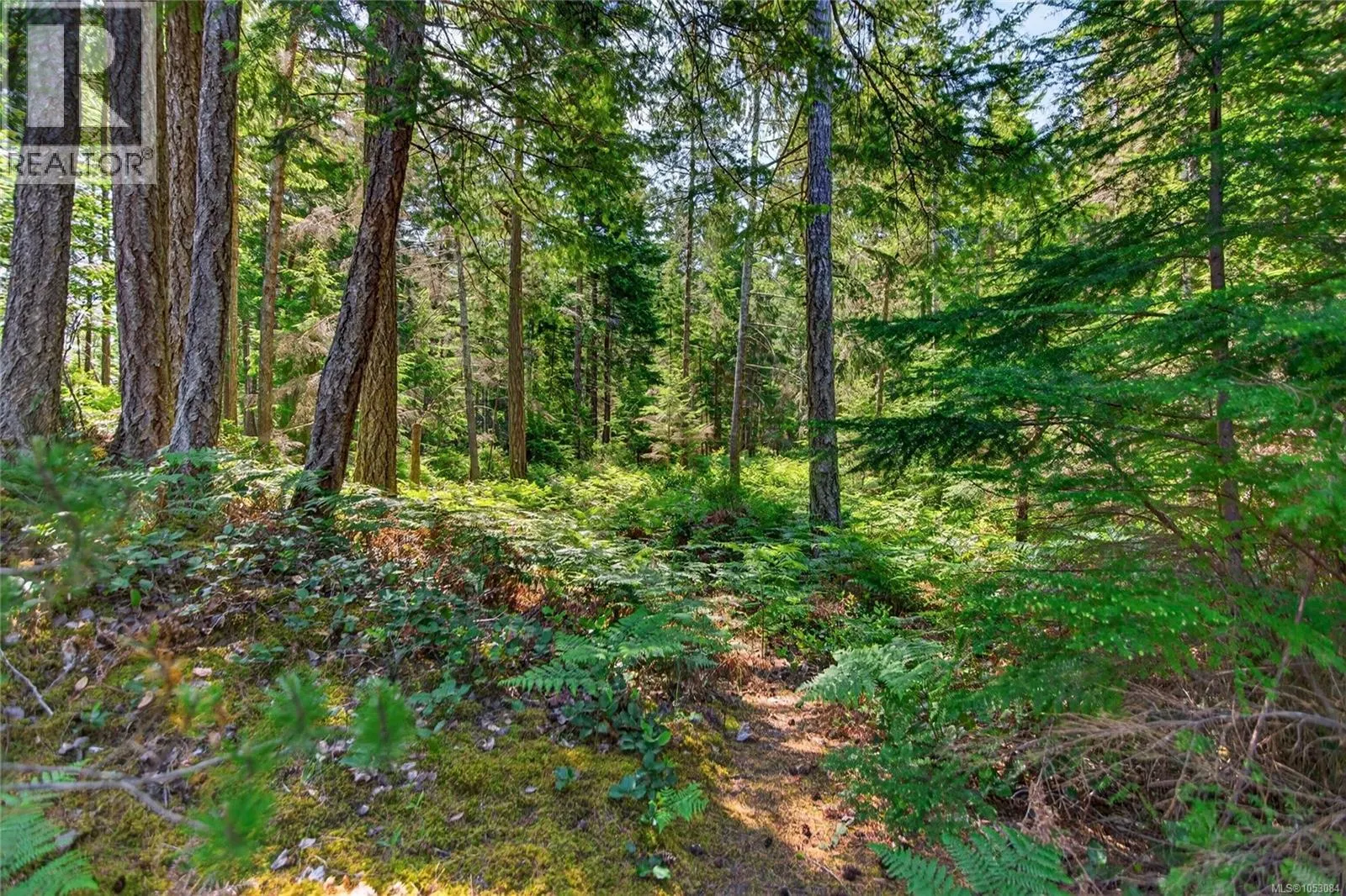 657 Sierra Pines Rd