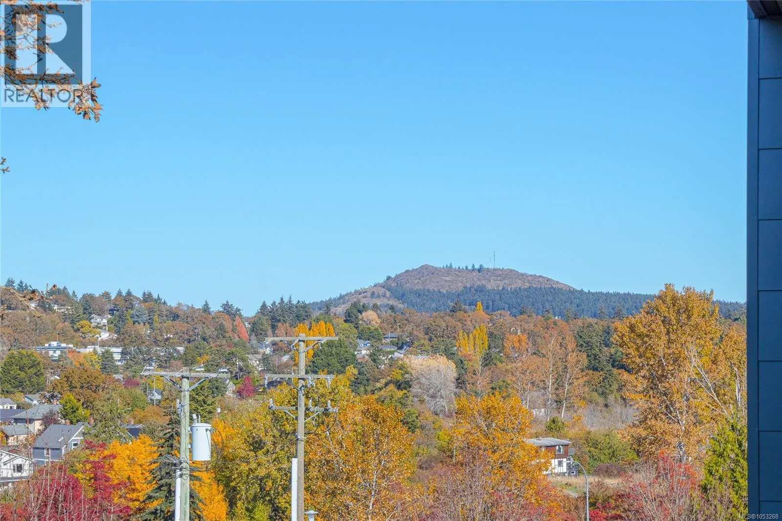 403 3815 Rowland Ave