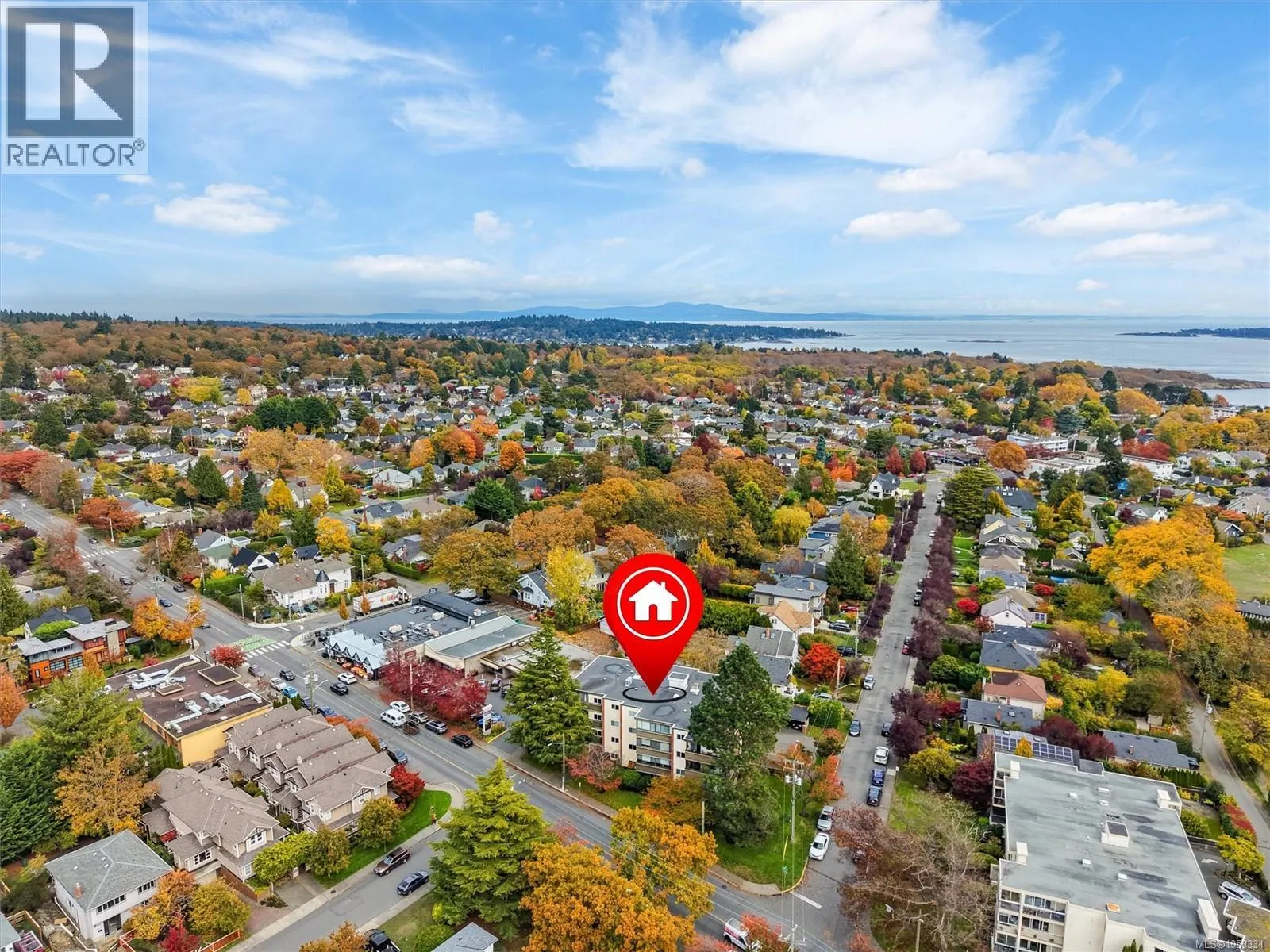 302 2535 Cadboro Bay Rd