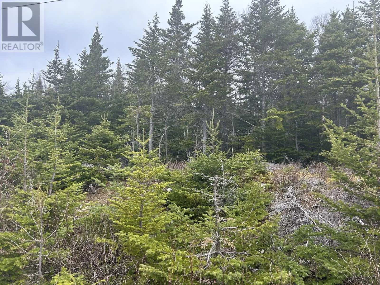 Lot # 04 Quarry Road