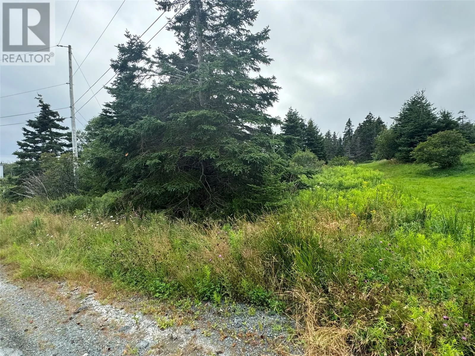 17 Crowes Lane