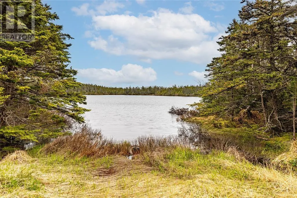 1290 Portugal Cove Road