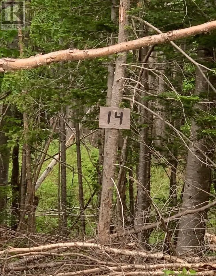 14 Paradise Road