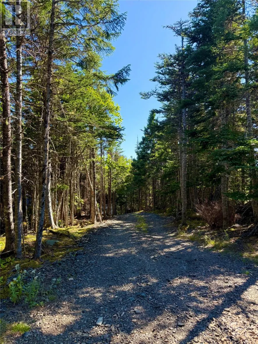 0 Lethbridge Forest Access Road