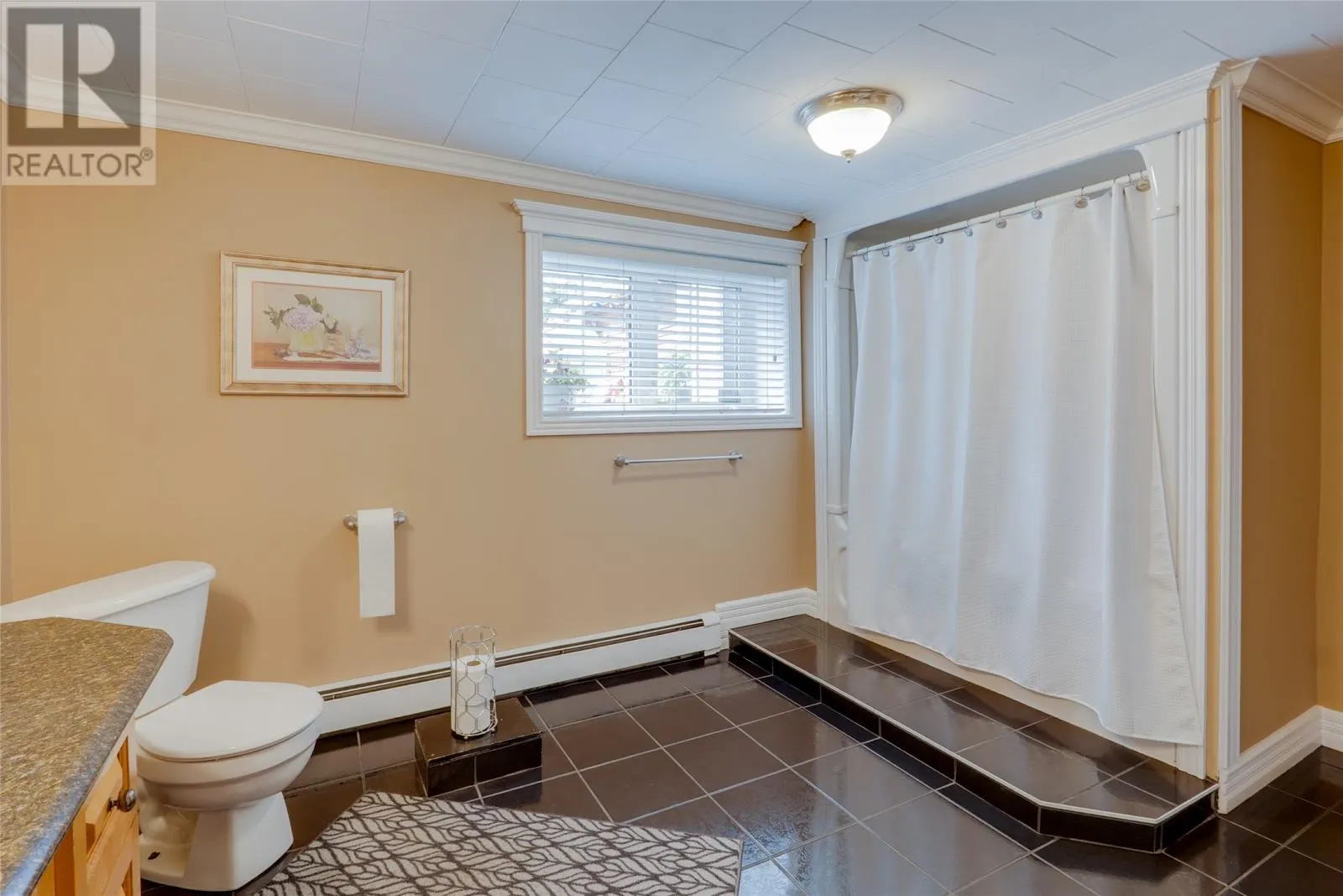 196 Conception Bay Highway