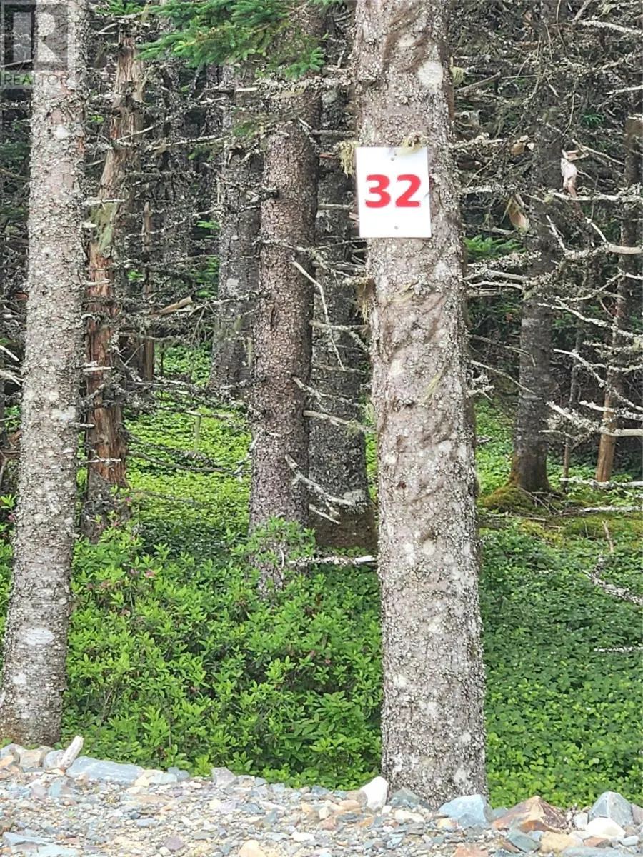 Lot 32 Cloyne Drive