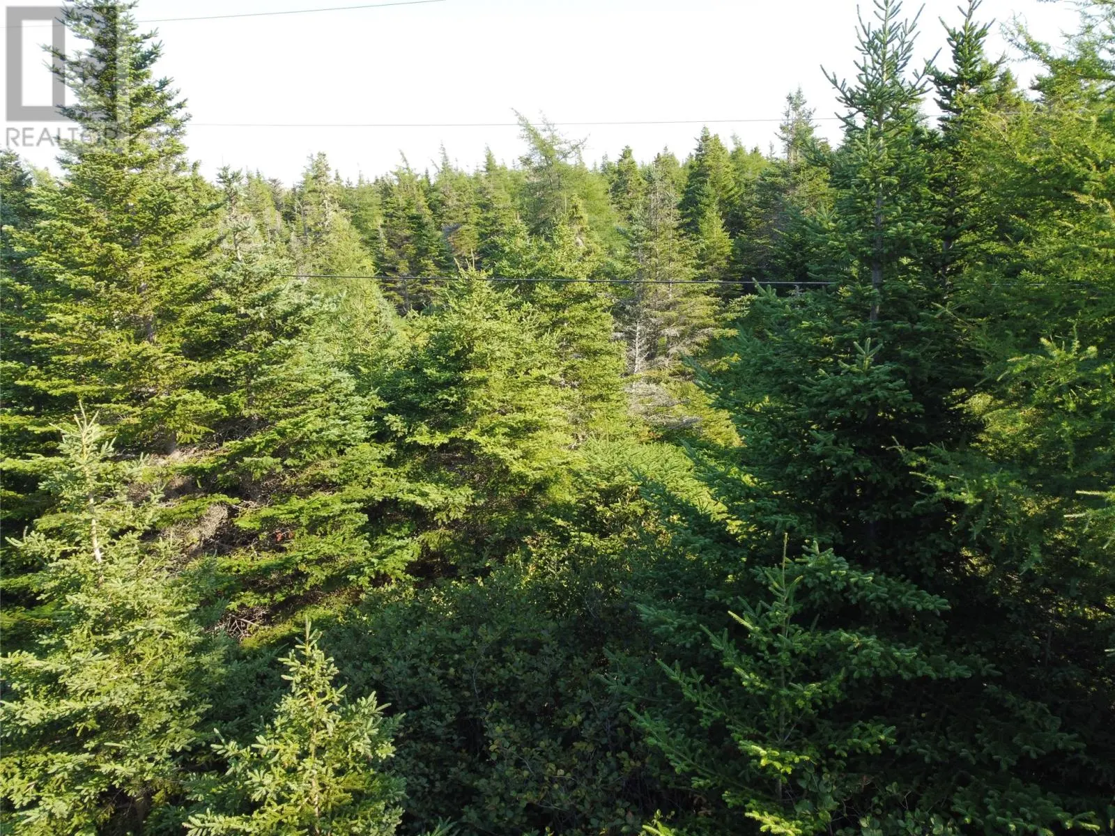 0 Cliff Meadows Road