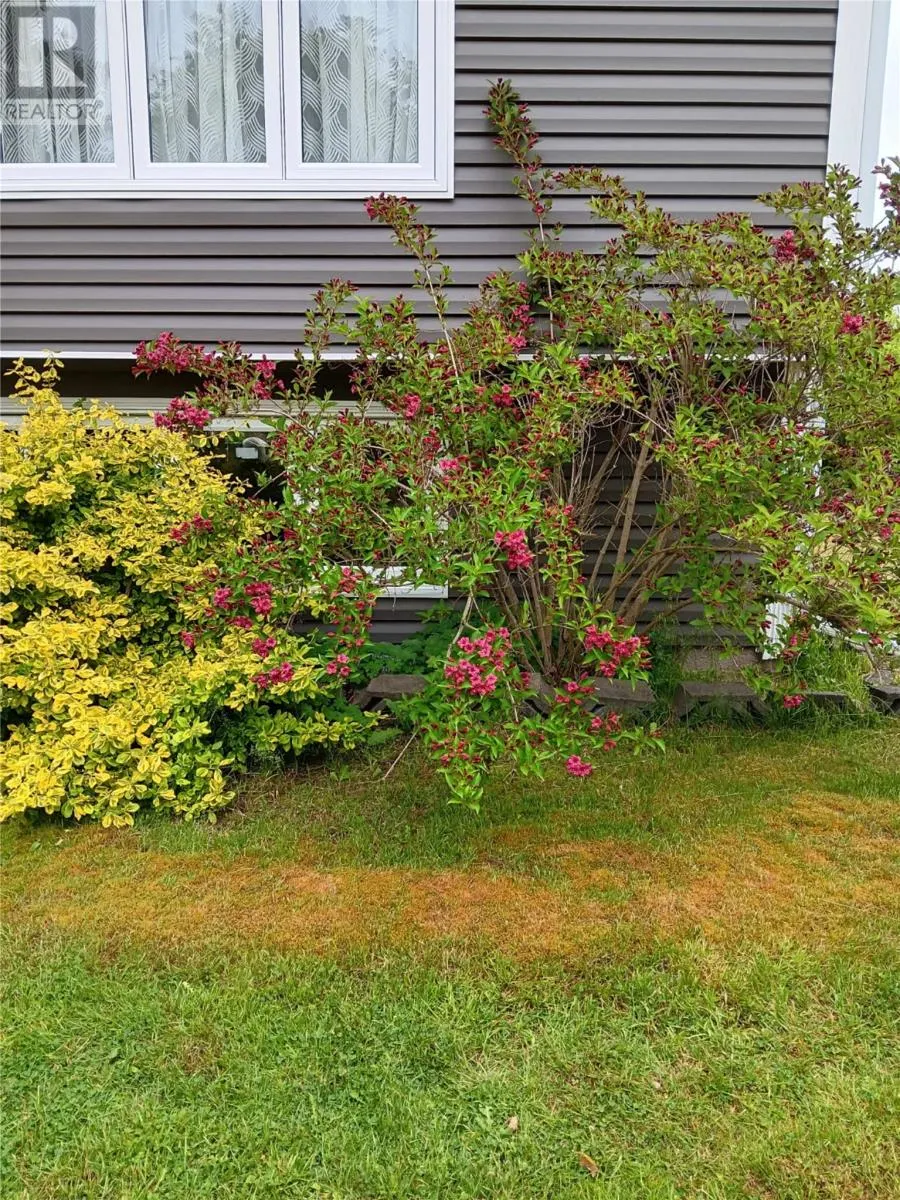 93 Forest Road