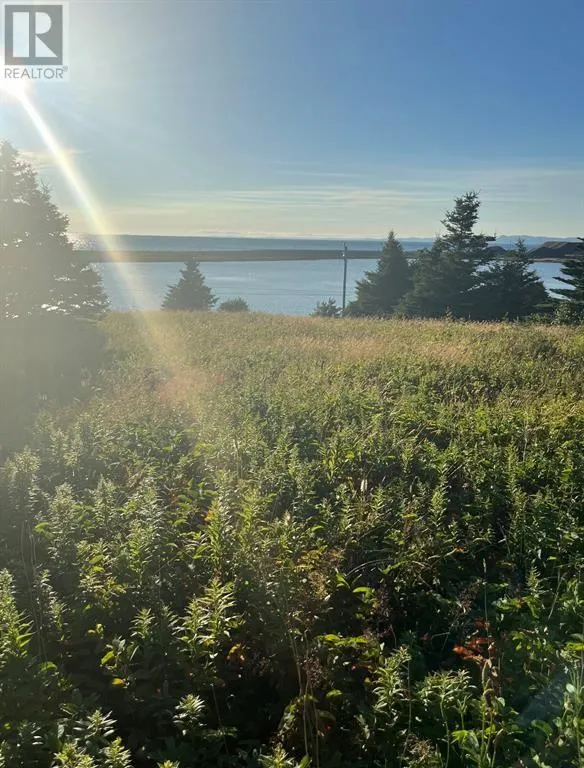 117 Cape Shore Highway