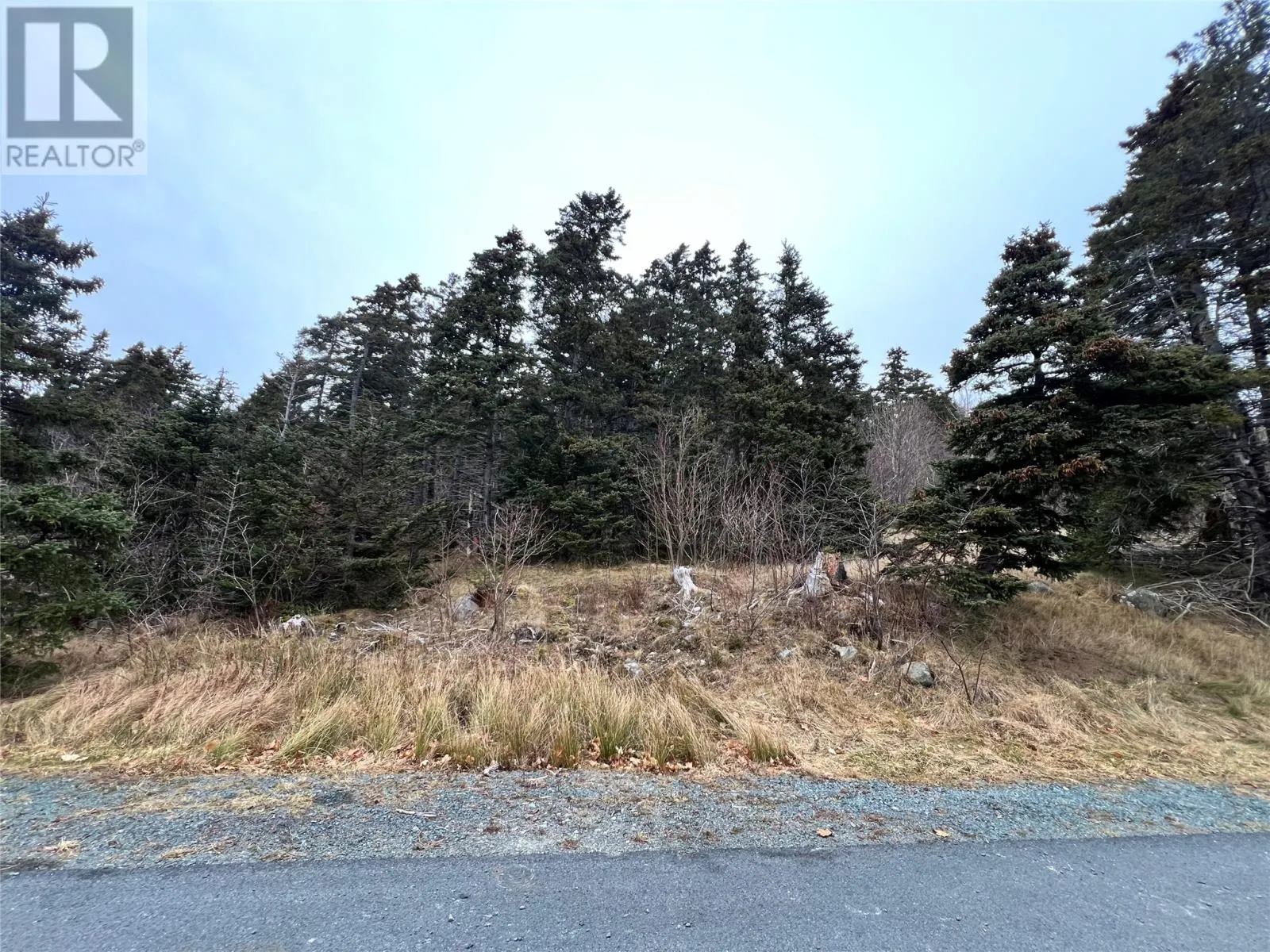 31 Harbour Drive
