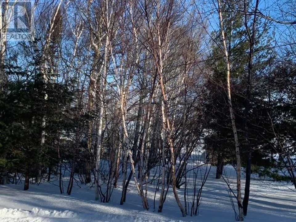 56 Loop Road