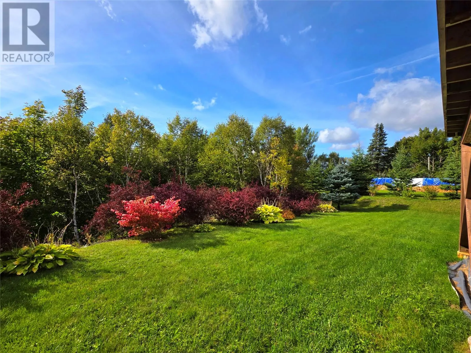 19 Raymond Heights
