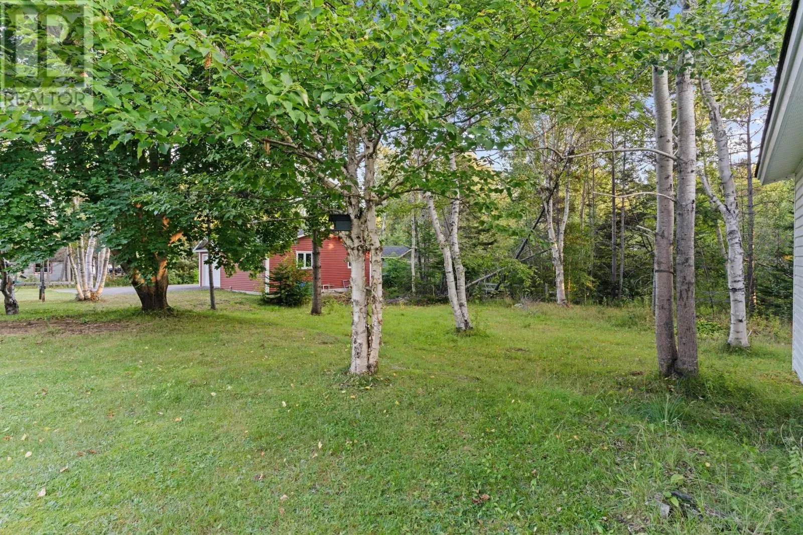 35 Pine Tree Road