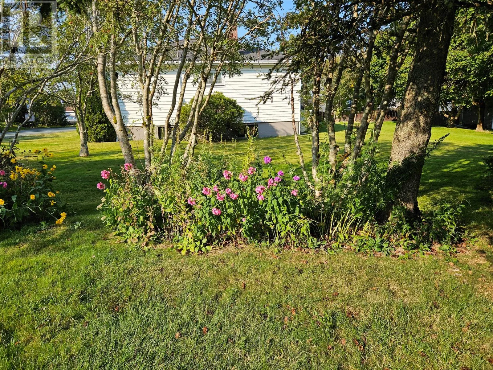 33 Cedar Drive