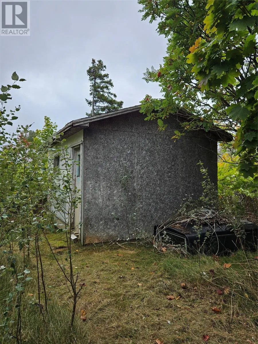 17 Renown Street