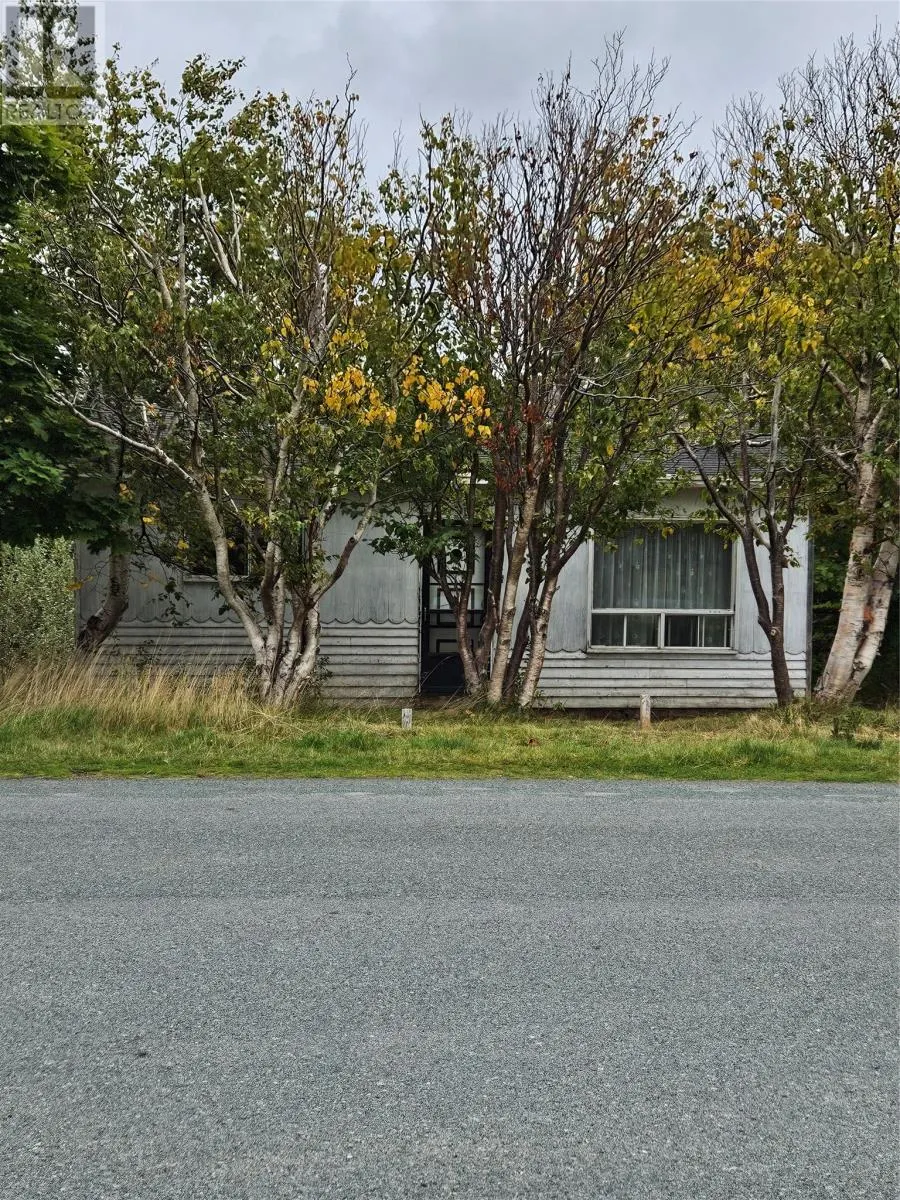 17 Renown Street