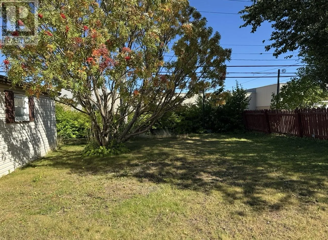 11 Robertson Avenue