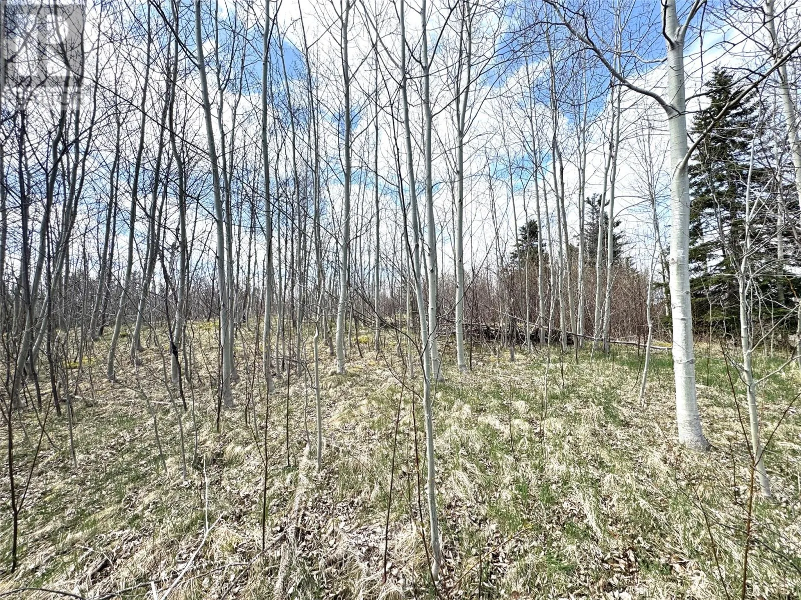 384 Main Road