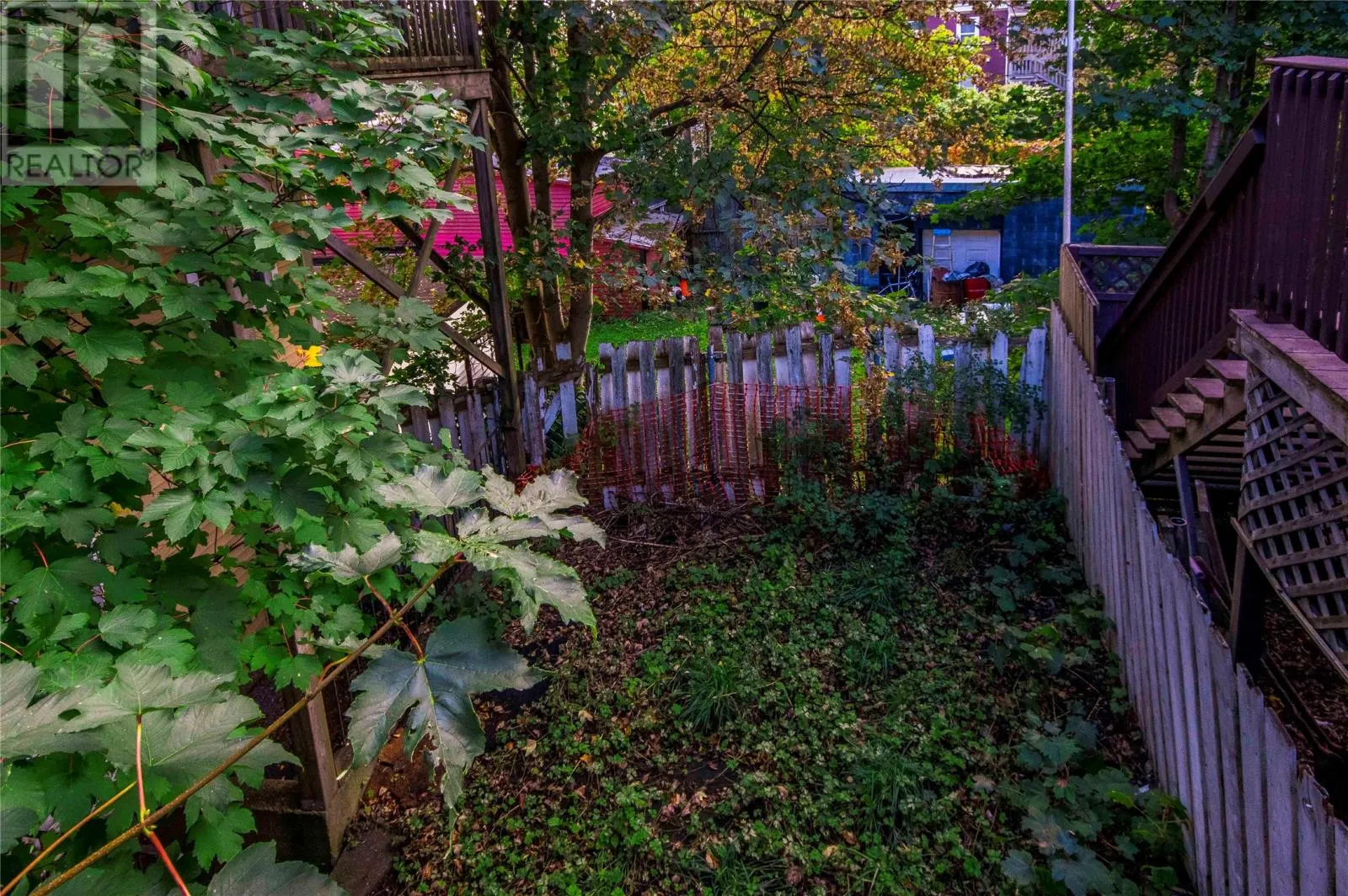 5 Balsam Street