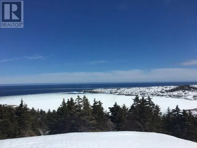 4 Wildberry Ridge