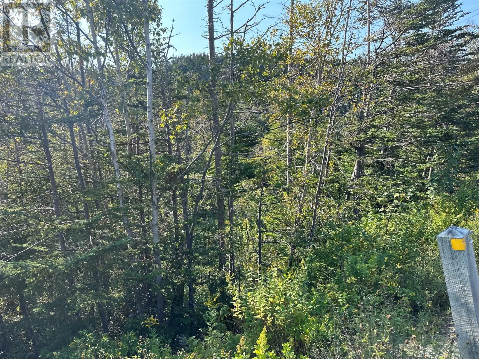 195 Conception Bay Highway