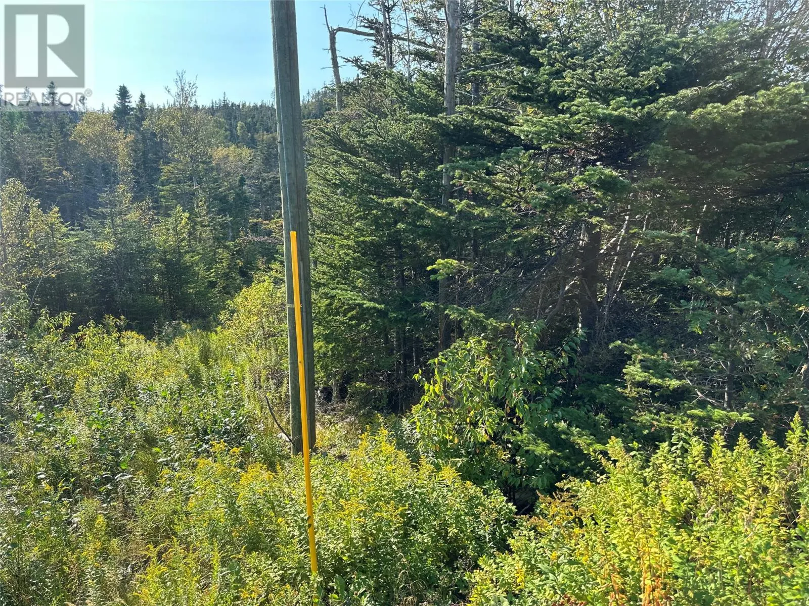 195 Conception Bay Highway