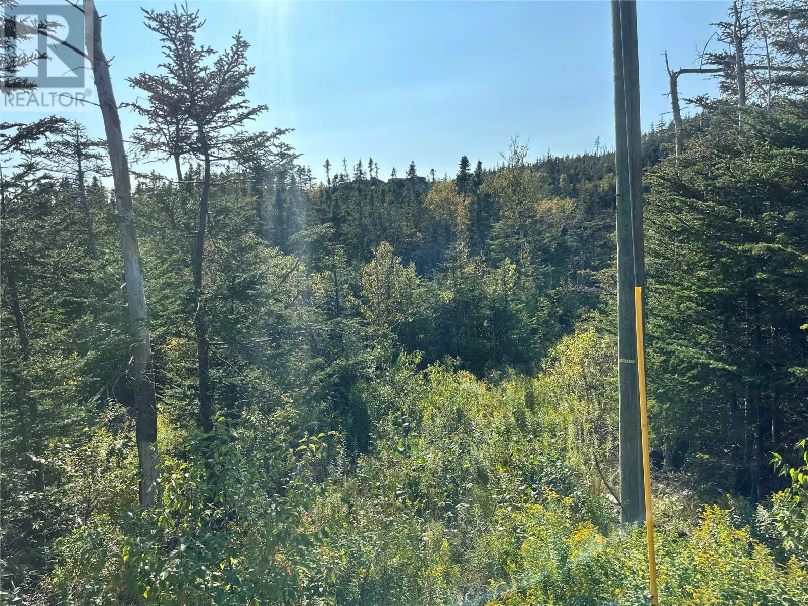 195 Conception Bay Highway